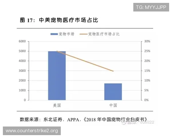 年度大型博彩平台出款速度深度对比与进阶趋势研究分析行业现状报告 年度大型博彩平台出款速度深度对比与进阶趋势研究分析行业现状报告
