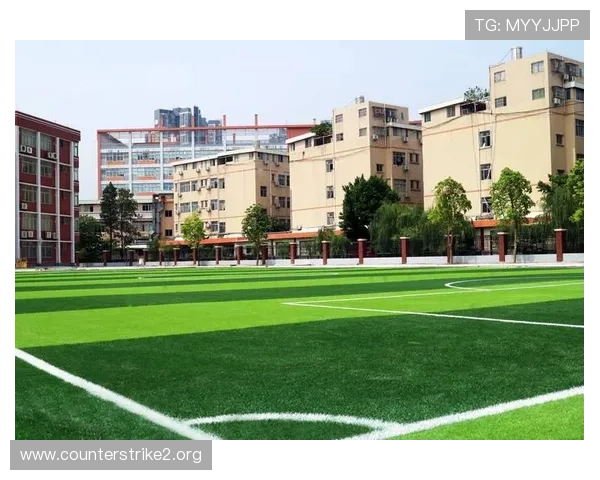 以广发体育为核心推动全民健身与竞技融合发展的创新生态新格局