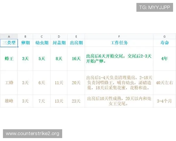 探索体育投注赔率变化规律及投注技巧全面解析